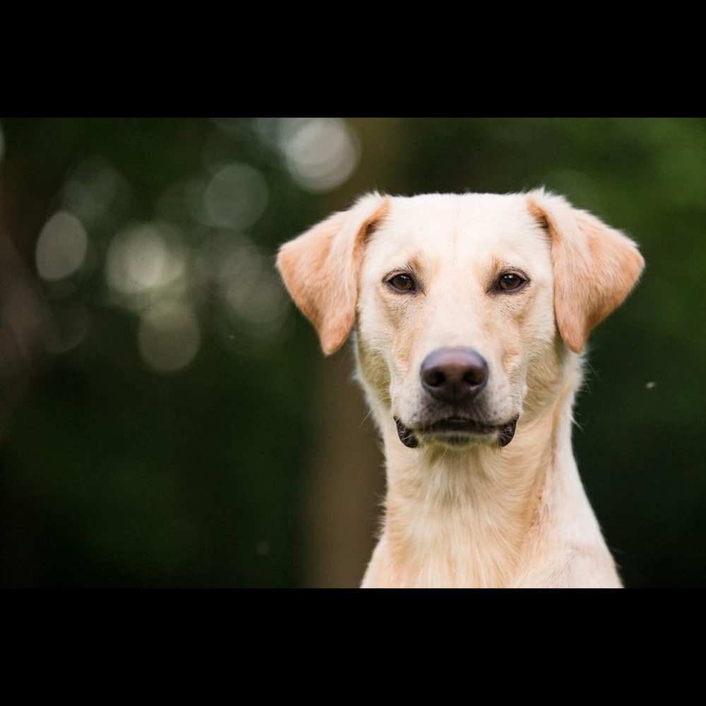 Meet your Posher, Carla